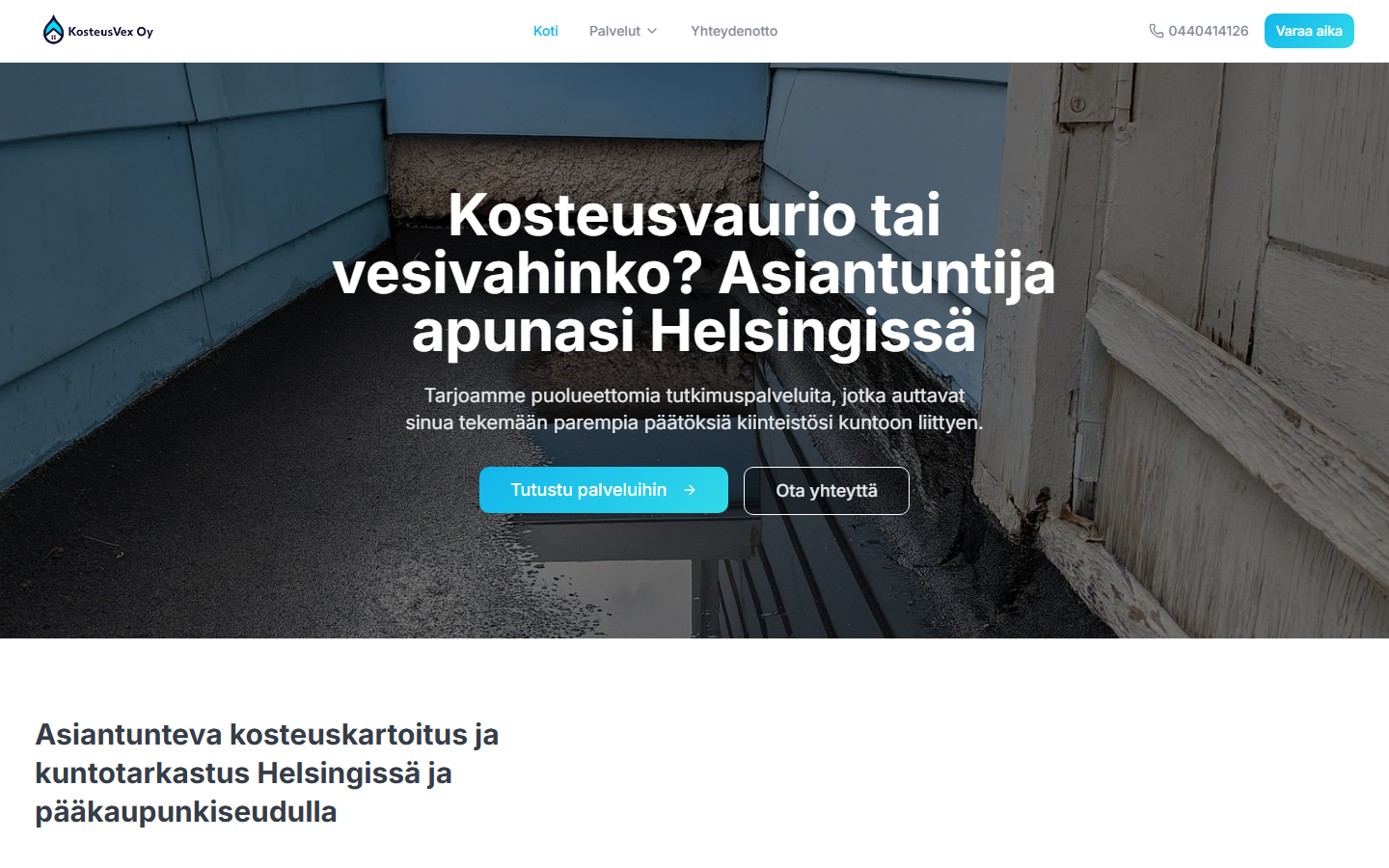 KosteusVex Oy – verkkosivuprojekti